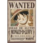 One Piece - Wanted Luffy Child