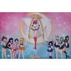 Sailor Moon - Sailor Warriors