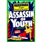 Assassin of Youth