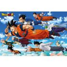 Dragon Ball Z - Super Flying