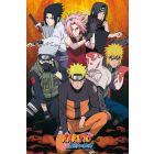 Naruto - Heroes