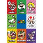 Mario Characters*