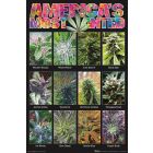 America's Most Wanted