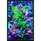 Weed Fairy Black Light (Non Flocked)
